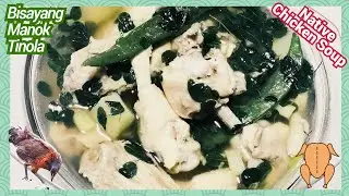 How to Cook Native Chicken Soup (Bisayang Manok Tinola) , Nutritious, and Easy to Cook.