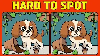 Spot the Difference for Sharp Minds (Hard)
