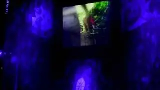 MOV01124