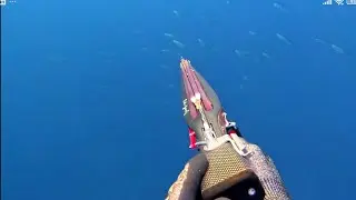 Chasse sous-marine M&eacute;diterran&eacute;e Var septembre 2025 p&eacute;lamide/loup/tassergal...
