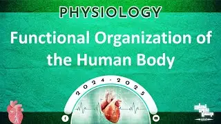 L1: Functional organization of the human body; Physiology