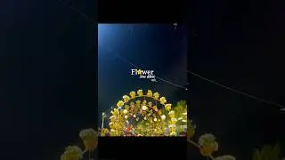 Flower Show Dekhne Chale 🌼 | Udaipur (24 Dec - 4 Jan)
