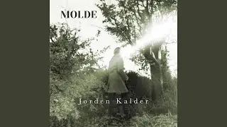 Omveje