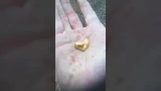 Ripper half ouncer