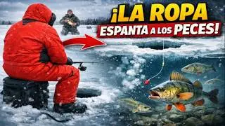 ¿Cero Picadas en el Hielo? Tu Ropa Podría Ser la Culpable. Este Experimento lo Demuestra.