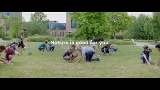 WOWnature: forests are good for us. Let's take care of them.