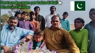 Devtaon ke naam per bakre ki Bali🦙 Hindu in Pakistan YouTube Nakhtu Hindu vlog Pakistani Hindu 