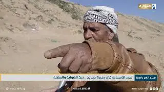 صيد الاسماك في بحيرة حمرين .. بين الهواية والمهنة