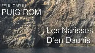 Feliu Gasull - Puig Rom | Les Narisses D'en Daunis