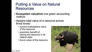 How to value biodiversity?
