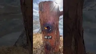 What He Transforms This Rock Into 🤯