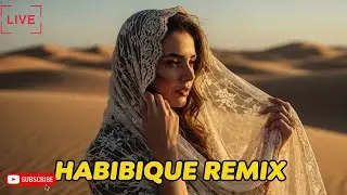 🔴 LIVE NO ADS | Viral Habibi Remix 2025 🔥 Arabic Love & Chillout Music