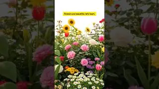 Beautiful Flowers for Kids | Learn Flower Names 🌼🌹