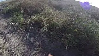 Little clip from public dove hunting 1/7/26