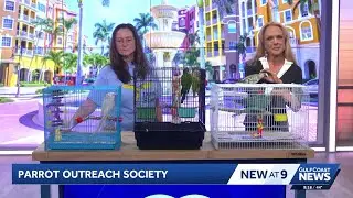 Parrot Outreach Society brings in rescued birds