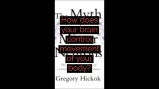 ❓How does your brain control movement of your body❓