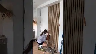 Panel Installation Day at Dollface