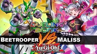High Rated DB? Battlewasp Beetrooper Vs Maliss Sky | ABSOLUTE CINEMA