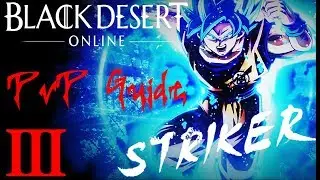 BDO Striker PvP - Guide III (After removed SA/FG)