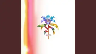 Forget me Not