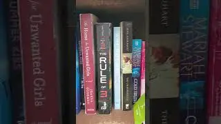 Visiting a Narrow Little Free Library!