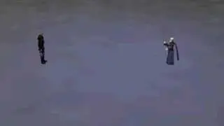 Tellah vs Golbez