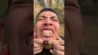 Навыки выживания: ОТЛИЧНАЯ идея и ПОЛЕЗНО в лесу #кемпинг #бушкрафт #наприроде #выживание