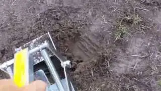 Catching Moles
