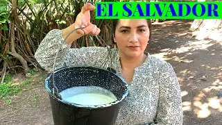 Como ordeñar una vaca