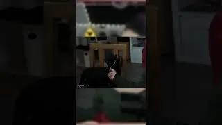 Cat Content! Tingle und Midna sind einfach sehr leicht zu begeistern.