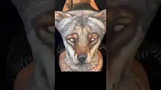 Wolf Bodypaint!! Freehand Airbrush Art!