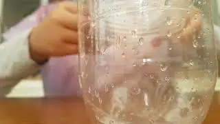 Die Selbst gemachte Baby Flasche