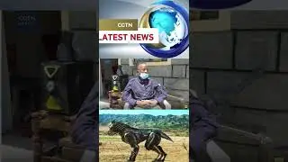 African Inventor Builds Futuristic Robot Dog | CGTN Africa and ACF Digital Cyber City.