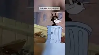 When reality and animation overlap #animation #tomandjerry #real