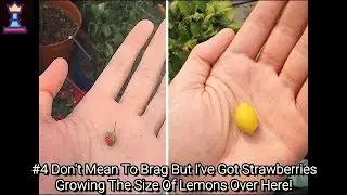 Times People Absolutely Lost The Food Lottery