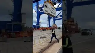 Reefer Container Shipping 2025: How Carrier Reefer Services Work (Temperature-Controlled Logistics)