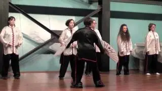 Tai Chi Double Fan