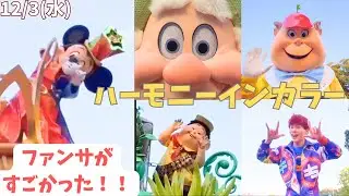 ハーモニーインカラー#ディズニー #ディズニーランド #ディズニーリゾート #ディズニー好きな人と繋がりたい #ハモカラ #disney #東京ディズニーランド #ハーモニーインカラー #ダンサー