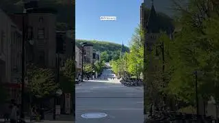 McGill University #canada #montreal #nature #montrealtourism #mcgill #mcgilluniversity