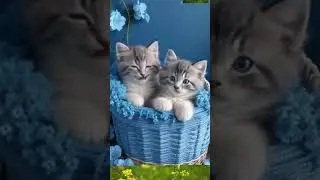 Cute Cat Singing Soft Meows! 🐾🎶 #RelaxingCats