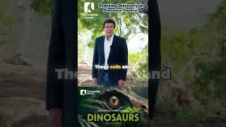 Unbelievable Find: Blood & Soft Tissue in Dinosaur Fossils!