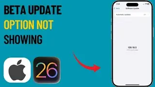 How To Fix Beta Update Option Not Showing In 18/26 (2025)