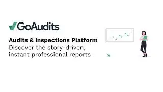 Обзор отчета о проверках GoAudits