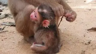 My mother is cleaning my umbilical cord #viralvideo #video #funny #foryou #fyp #cute #baby #new