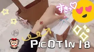 How I store my Hermes Picotin 18 😎✨ + unboxing & try on DGAZ Amazon Satin Bag Organizer 🥰