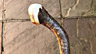 Natural handle Hazel Knobstick Shillelagh Walking Stick