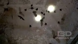 CGI Bat 3D VFX for Hindi Movie 
