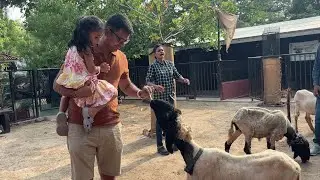 Animal Sanctuary Tour: Where Rescued Animals Find Love & Care