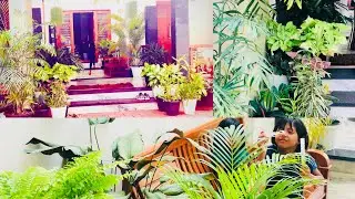 sit out plant arrangement