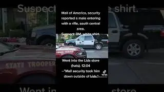 Another person bringing a gun to Mall of America.